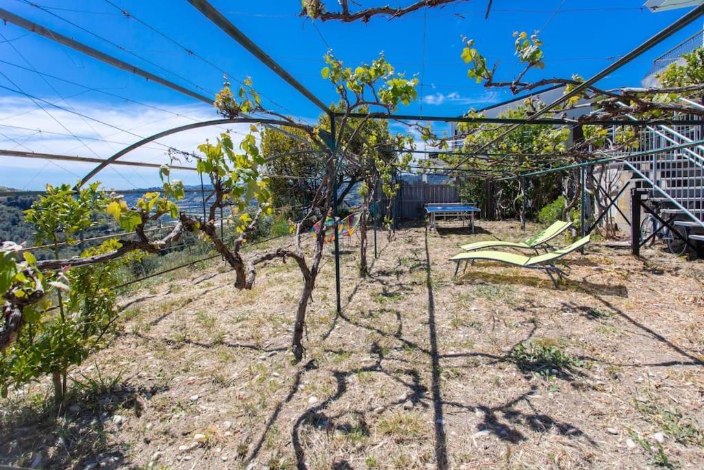 Apartamento Echapee Belle - Vinayard View - Jacuzzi Bbq - Parking Nice