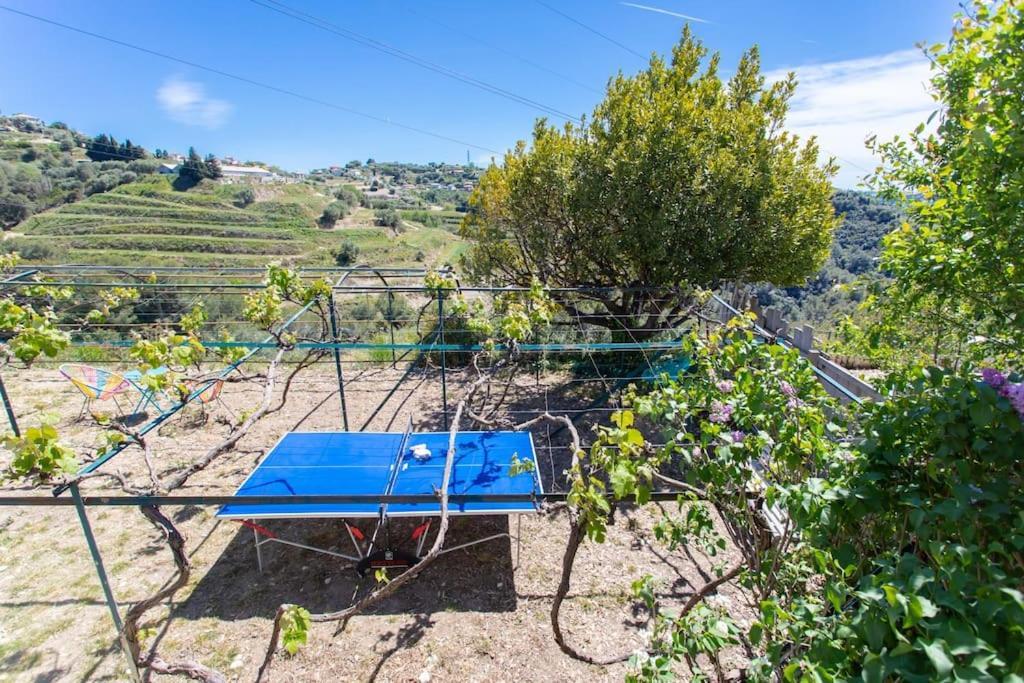 Echapee Belle - Vinayard View - Jacuzzi Bbq - Parking * Nice
