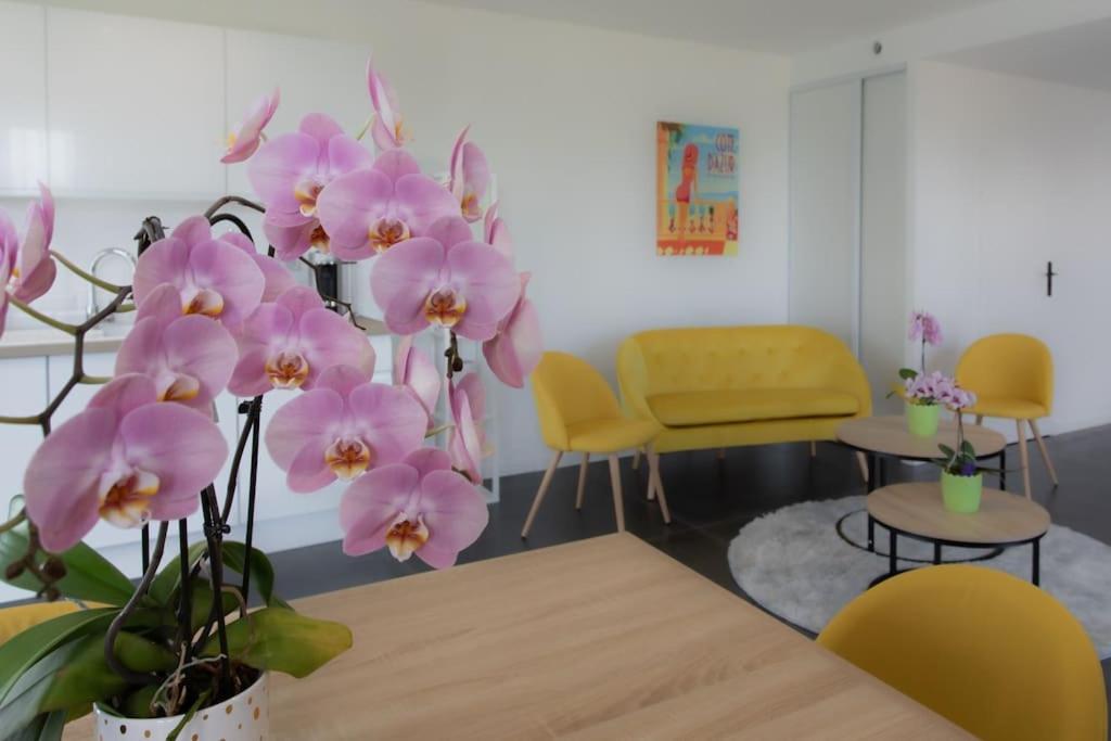 Apartment Echapee Belle - Vinayard View - Jacuzzi Bbq - Parking *