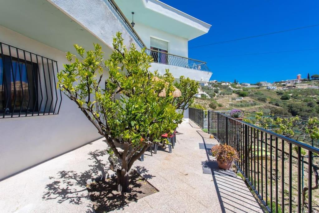 Echapee Belle - Vinayard View - Jacuzzi Bbq - Parking *